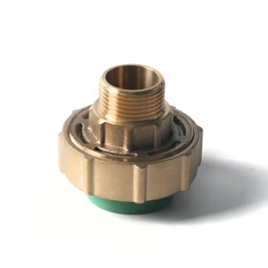 IFAN Custom OEM ODM PPR Fittings Male Union