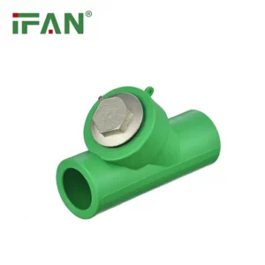 Wholesale Custom PPR fittings Filter