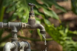 The Versatility and Functions of Brass Taps