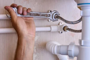 Flexible hose
