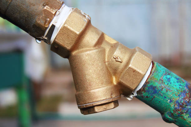 1 2 check valve