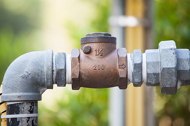 1 2 check valve