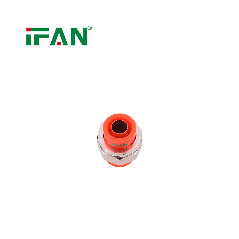 Affordable Price IFAN PPR Copper Union - Image 5